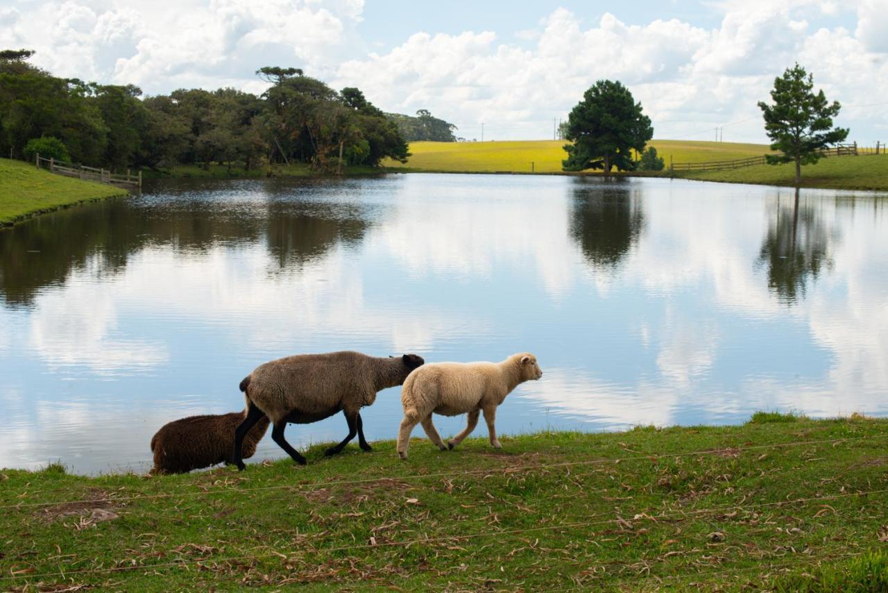 Aires De Patagonia Hotell Cambará Exteriör bild